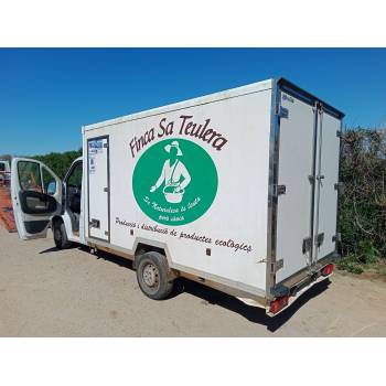 FIAT DUCATO CAJA/CHASIS (250_)