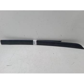 MOLDURA EXTERIOR IZQUIERDA 