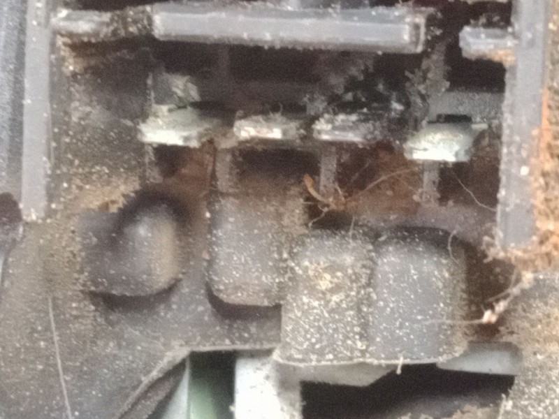 Recambio de piloto trasero derecho para fiat grande punto van (199_) 1.4 (199cxb1a, 199dxb1a) referencia OEM IAM   