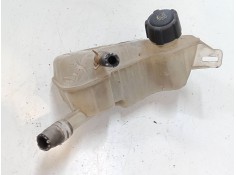 Recambio de botella expansion para renault megane ii coupé-cabriolet (em0/1_) 1.5 dci (em1e) referencia OEM IAM    2