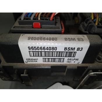 BSM 9650664080 