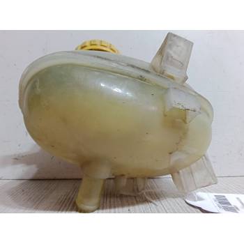 BOTELLA EXPANSION 