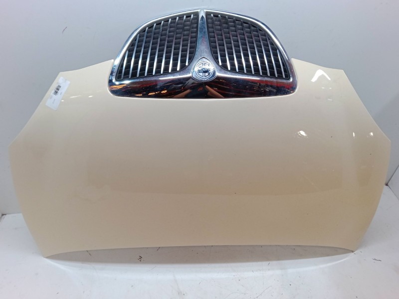 Recambio de capo para lancia ypsilon (843_) 1.3 jtd (843.axd11, 843.axd1a) referencia OEM IAM   