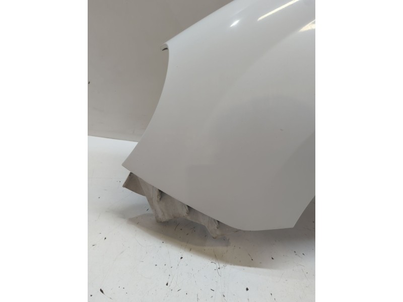 Recambio de aleta delantera izquierda para renault kangoo be bop (kw0/1_) 1.5 dci 75 referencia OEM IAM   