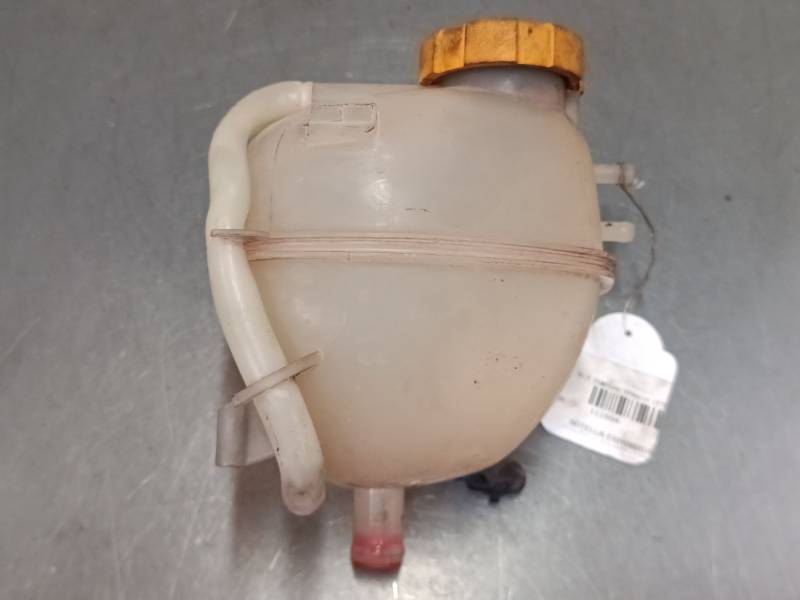 BOTELLA EXPANSION 9202200 