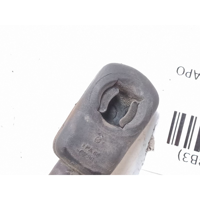 Recambio de amortiguadores capo para volkswagen passat b5.5 (3b3) 1.9 tdi referencia OEM IAM   