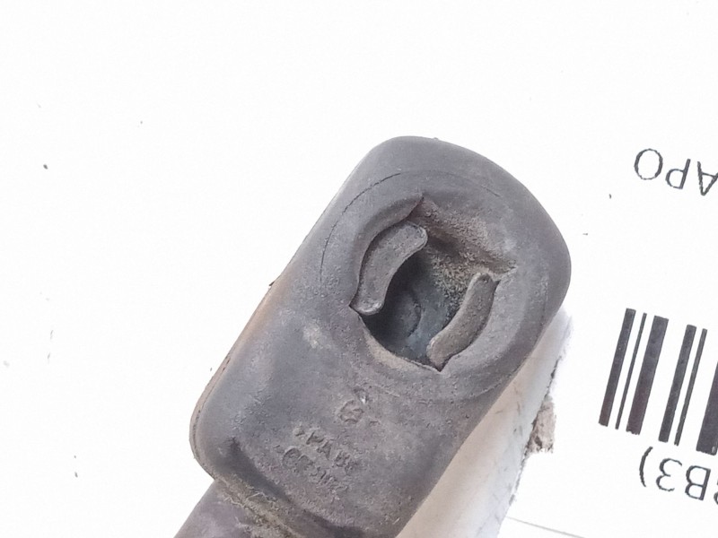 Recambio de amortiguadores capo para volkswagen passat b5.5 (3b3) 1.9 tdi referencia OEM IAM   