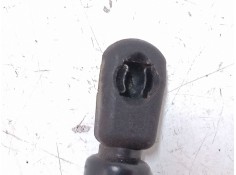 Recambio de amortiguadores capo para volkswagen passat b5.5 (3b3) 1.9 tdi referencia OEM IAM    2