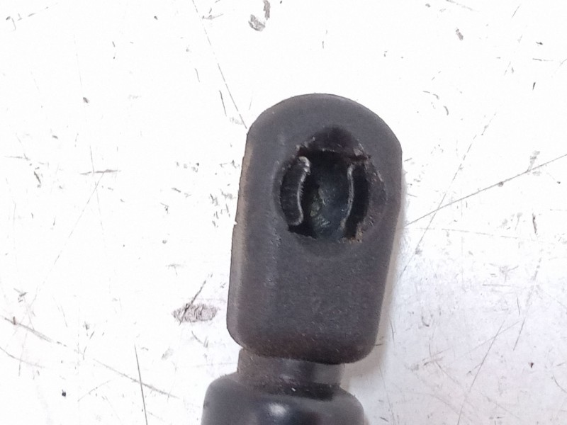 Recambio de amortiguadores capo para volkswagen passat b5.5 (3b3) 1.9 tdi referencia OEM IAM   