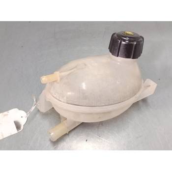 BOTELLA EXPANSION 217107259R 