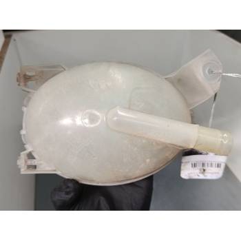BOTELLA EXPANSION 217107259R 