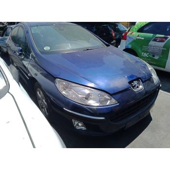 PEUGEOT 407 (6D_)