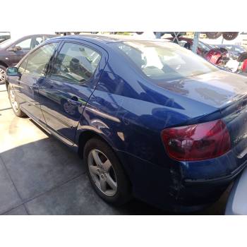 PEUGEOT 407 (6D_)