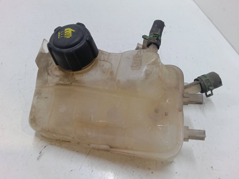 Recambio de botella expansion para renault megane iii hatchback (bz0/1_, b3_) 1.5 dci referencia OEM IAM   