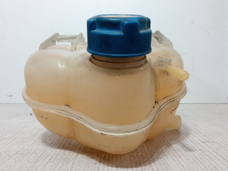 Recambio de botella expansion para fiat punto evo furgoneta/hatchback (199_) 1.3 d multijet (199cxd1b, 199cxd1a) referencia OEM 