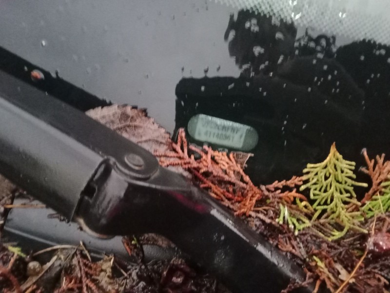 peugeot 206 hatchback (2a/c) del año 2000