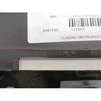 CUADRO INSTRUMENTOS 5550004601 