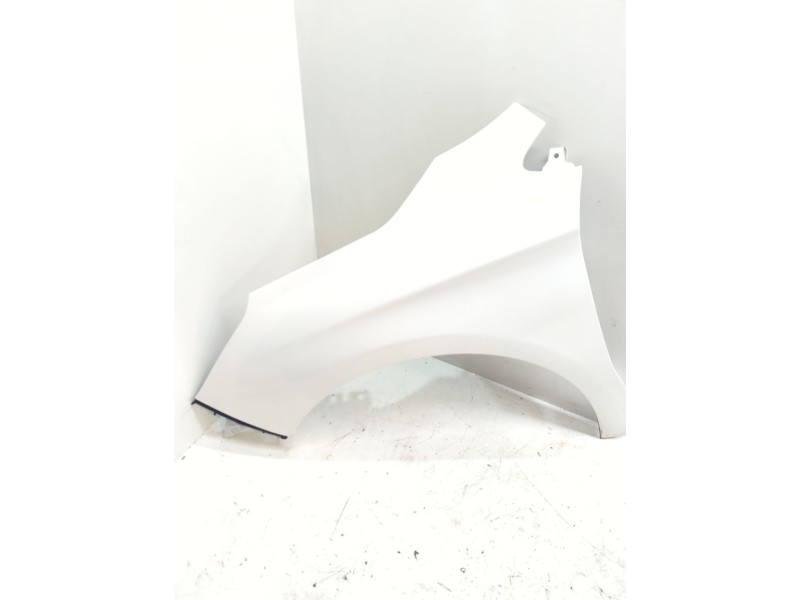 Recambio de aleta delantera izquierda para citroën c4 ii (nc_) 1.2 thp 110 referencia OEM IAM 1698958380  