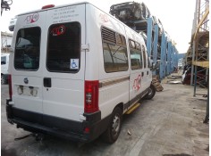 fiat ducato autobús (244_) del año 2004