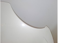 Recambio de capo para fiat 500l (351_, 352_) 1.6 d multijet (199lye1b) referencia OEM IAM    2