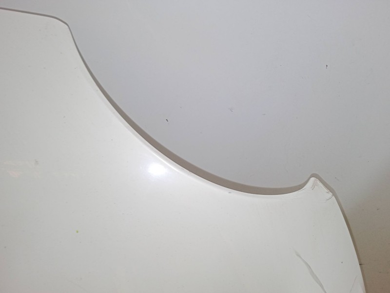 Recambio de capo para fiat 500l (351_, 352_) 1.6 d multijet (199lye1b) referencia OEM IAM   