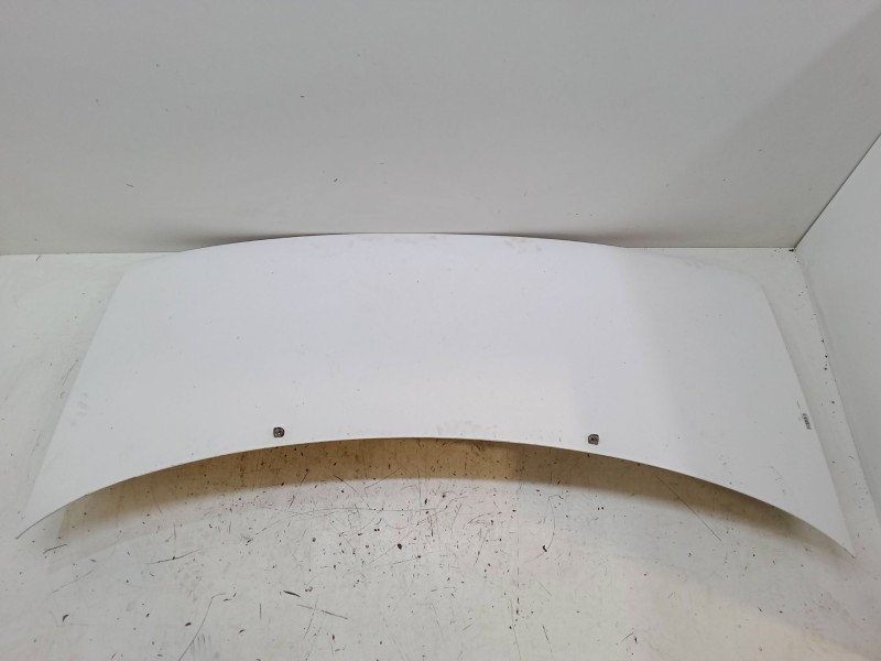 Recambio de capo para peugeot expert (224_) 1.9 td referencia OEM IAM   