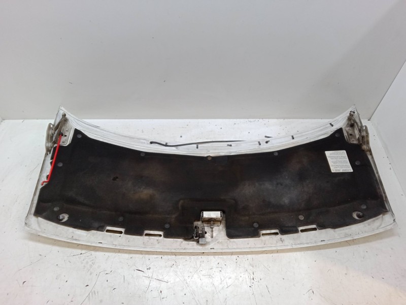 Recambio de capo para peugeot expert (224_) 1.9 td referencia OEM IAM   