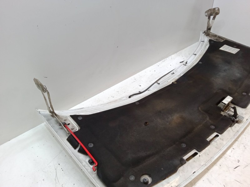 Recambio de capo para peugeot expert (224_) 1.9 td referencia OEM IAM   