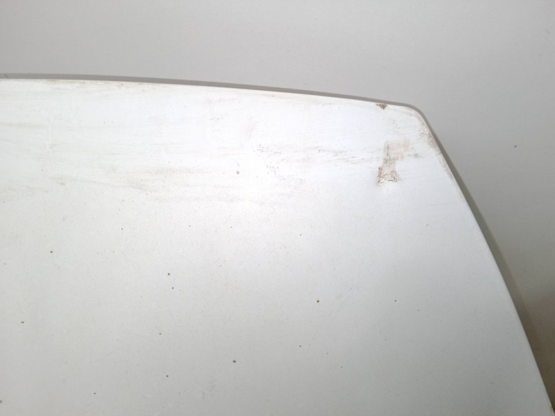 Recambio de capo para renault master iii furgoneta (fv) 2.3 dci 125 fwd (fv0c, fv0d, fv0g, fv0h, fv0j, fv0k) referencia OEM IAM 