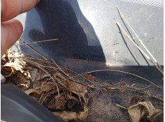 renault grand scénic ii (jm0/1_) del año 2004 2