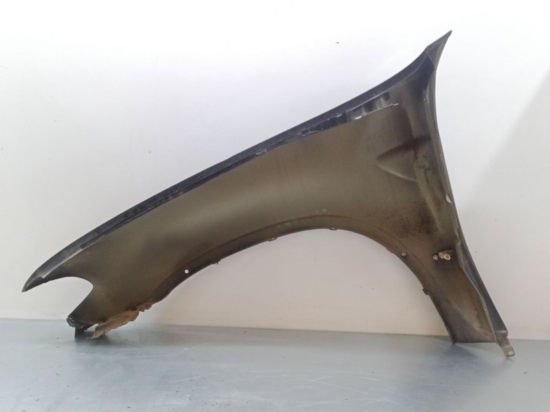 Recambio de aleta delantera derecha para bmw x5 (e53) 3.0 d referencia OEM IAM   