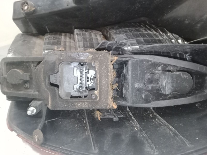 Recambio de piloto trasero izquierdo para renault scénic ii (jm0/1_) 1.5 dci (jm1e, jm16) referencia OEM IAM   