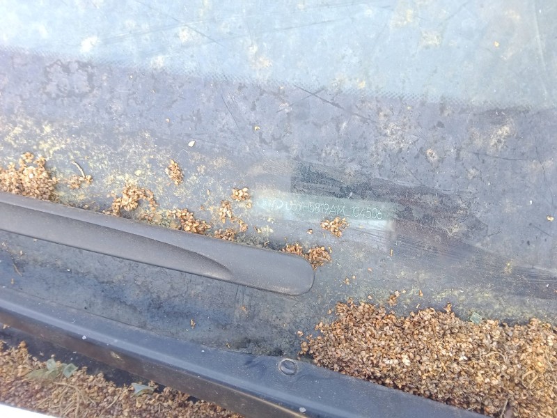 kia ceed tourer (cd) del año 2021