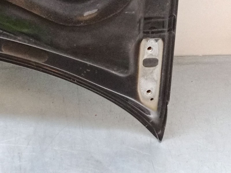 Recambio de capo para volkswagen golf iv (1j1) 1.9 tdi 4motion referencia OEM IAM   