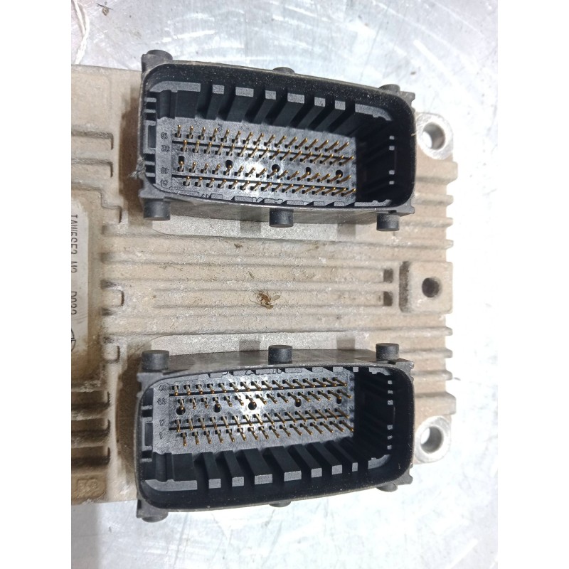 Recambio de centralita motor uce para fiat grande punto van (199_) 1.4 (199cxb1a, 199dxb1a) referencia OEM IAM 6DWYFALBG       6 Recambio de centralita motor uce para fiat grande punto van (199_) 1.4 (199cxb1a, 199dxb1a) referencia OEM IAM 6DWYFALBG       6