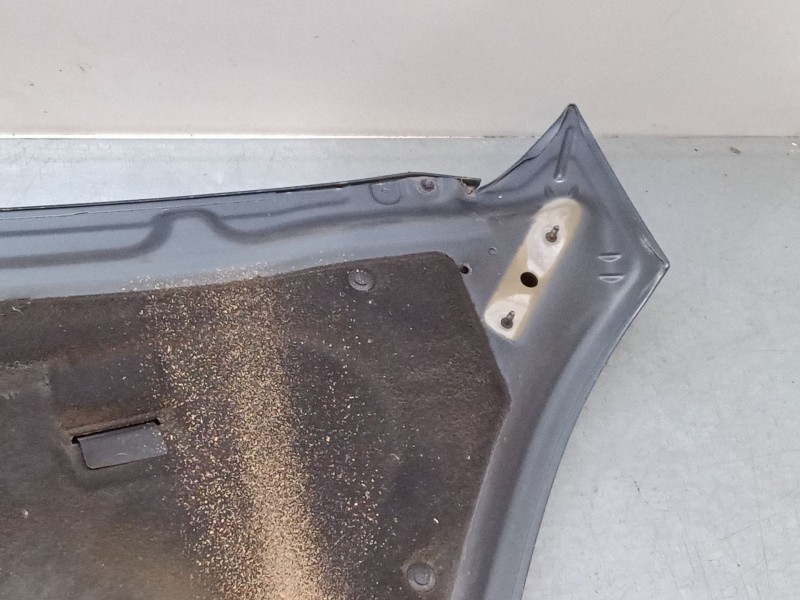 Recambio de capo para citroën c4 picasso i monospace (ud_) 1.8 i 16v referencia OEM IAM   