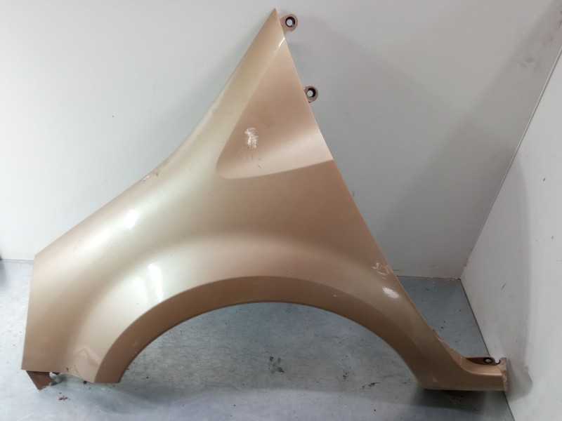 Recambio de aleta delantera izquierda para renault modus / grand modus (f/jp0_) 1.4 (jp01, jp0j) referencia OEM IAM   