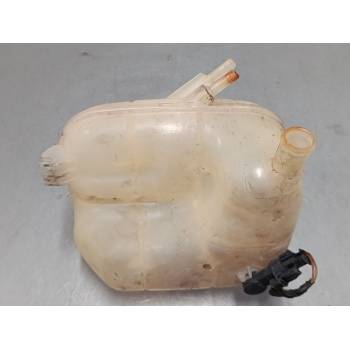 BOTELLA EXPANSION 460029937 