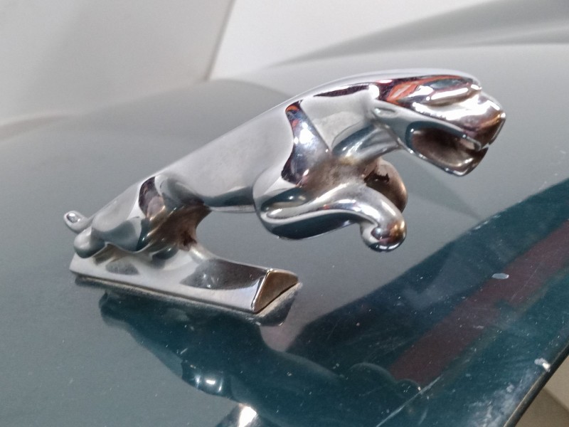 Recambio de capo para jaguar s-type ii (x200) 2.7 d referencia OEM IAM XR833820  