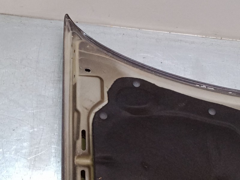 Recambio de capo para fiat panda / panda classic (169_) 1.4 (169axe1b) referencia OEM IAM   