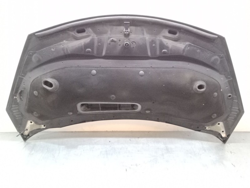 Recambio de capo para renault espace iv (jk0/1_) 2.0 dci (jk01, jk02, jk1j, jk1k, jk1h) referencia OEM IAM   