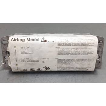 AIRBAG SALPICADERO 5P0880204B 