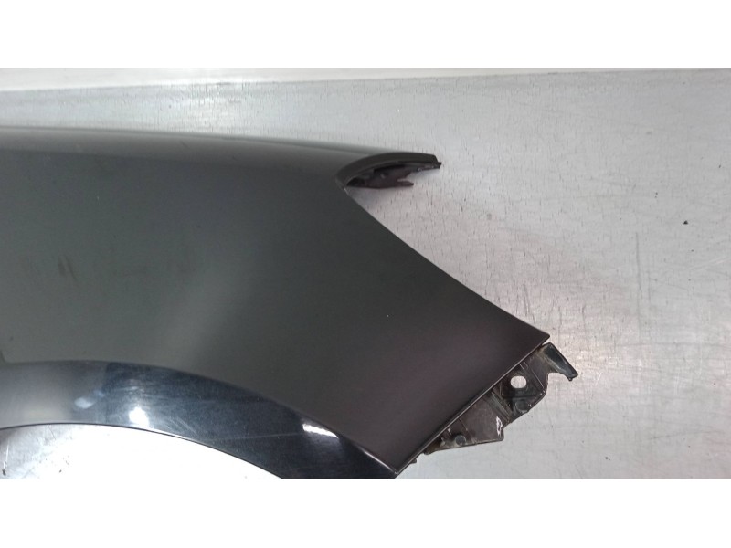 Recambio de aleta delantera derecha para renault clio iii (br0/1, cr0/1) 1.5 dci (c/br0g, c/br1g) referencia OEM IAM   