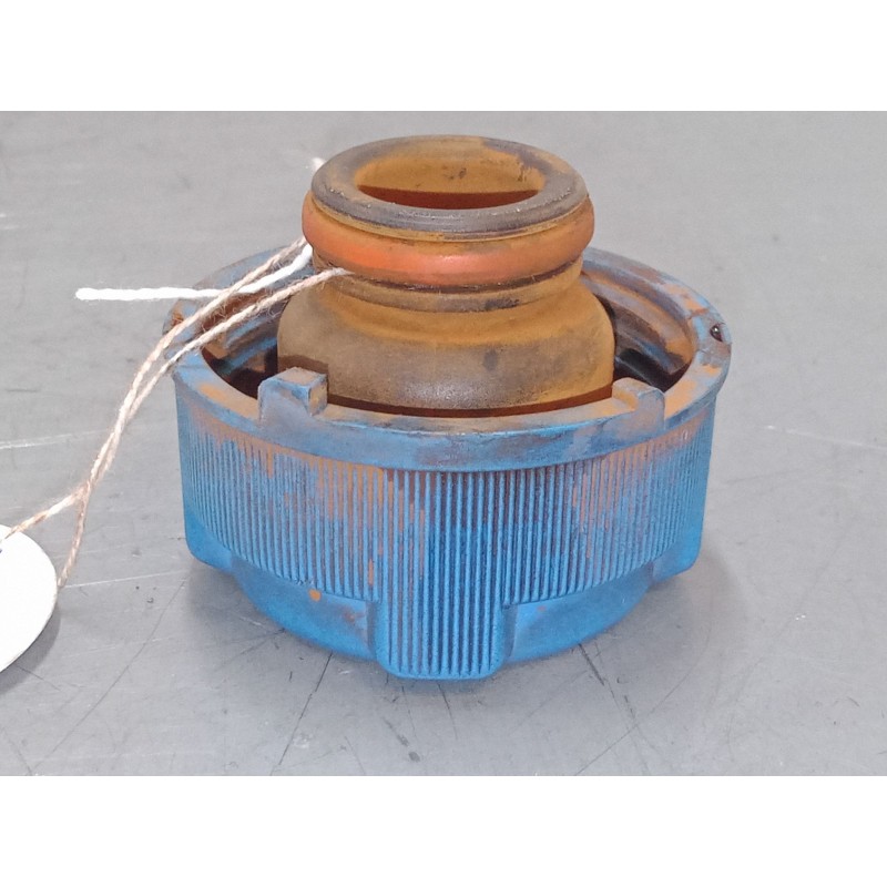 Recambio de tapon botella expansion para fiat 500 c (312_) 1.3 d multijet (312cxe1a, 312axe1a) referencia OEM IAM   