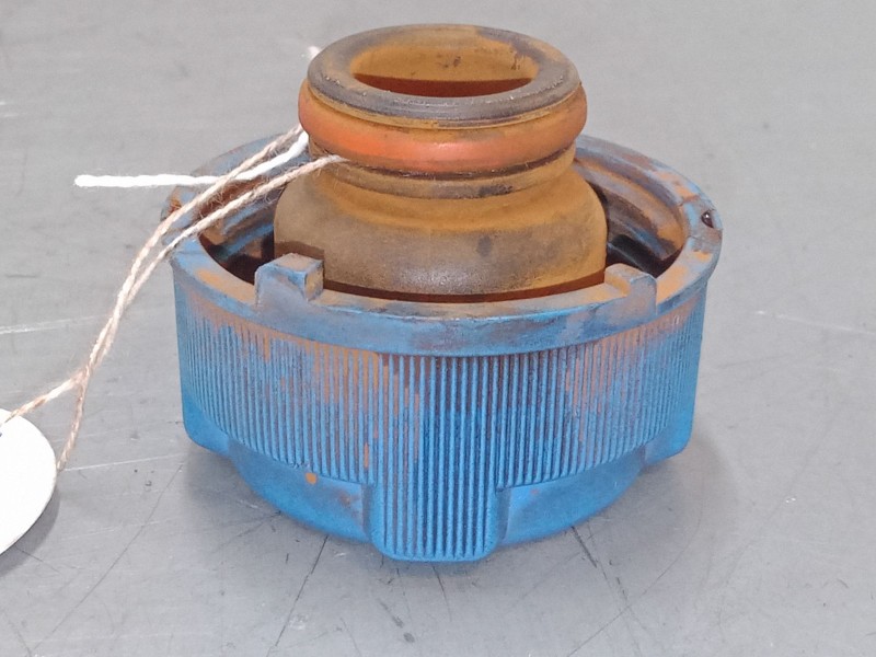Recambio de tapon botella expansion para fiat 500 c (312_) 1.3 d multijet (312cxe1a, 312axe1a) referencia OEM IAM   