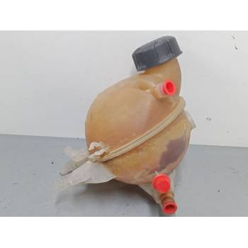 BOTELLA EXPANSION 