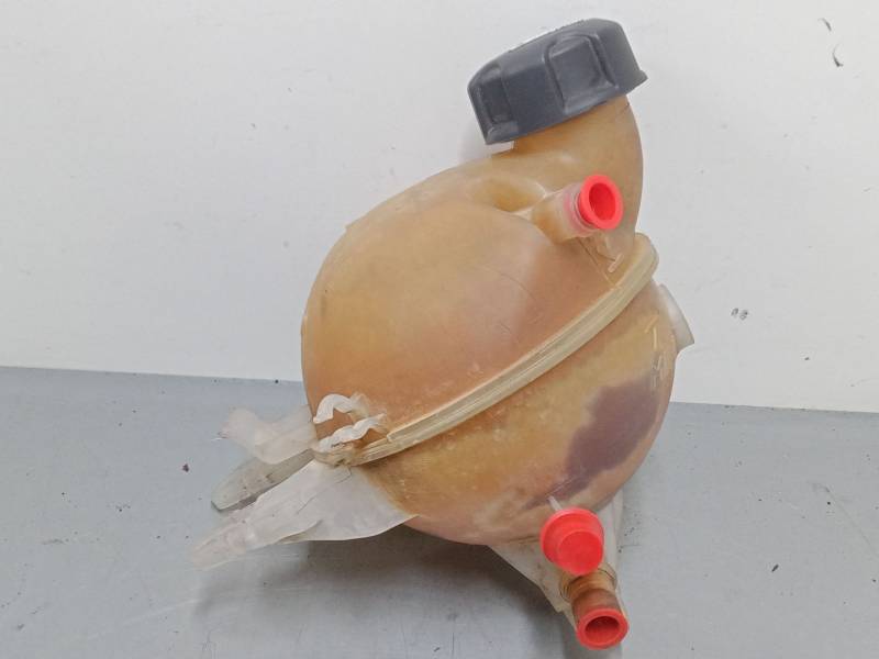 BOTELLA EXPANSION 