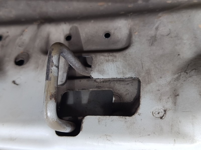 Recambio de capo para citroën jumpy ii furgoneta 1.6 hdi 90 16v referencia OEM IAM   