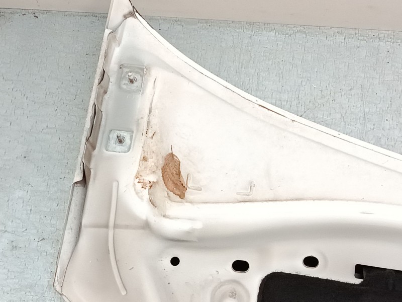 Recambio de capo para citroën c3 pluriel (hb_) 1.6 referencia OEM IAM   