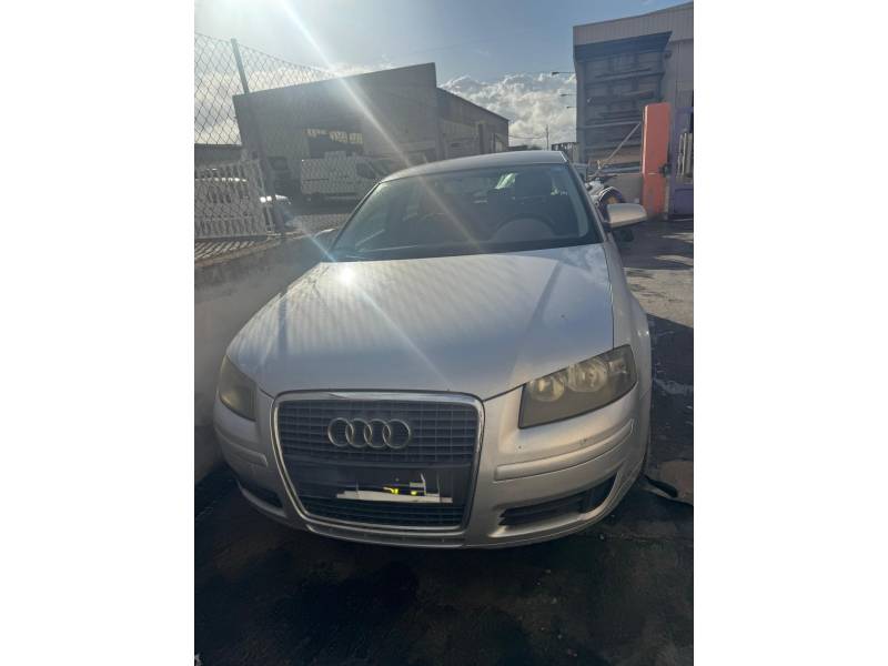 AUDI A3 (8P1)
